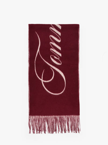 Écharpe Tommy hilfiger Rouge tommy script logo AW17786