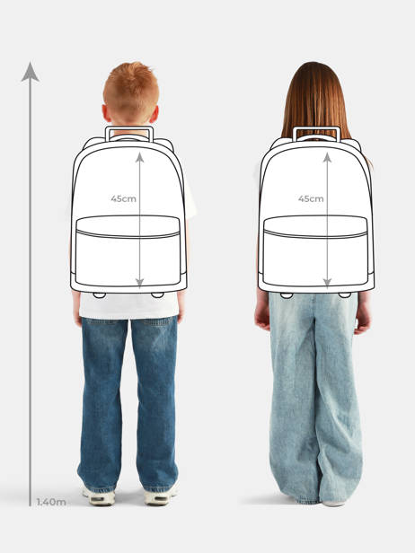 Sac A Dos à Roulettes 2 Compartiments Cameleon Gris futur PBFUSR45 vue secondaire 1